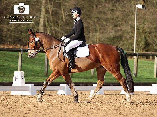 06.01.24 Quest + Unaffiliated Dressage