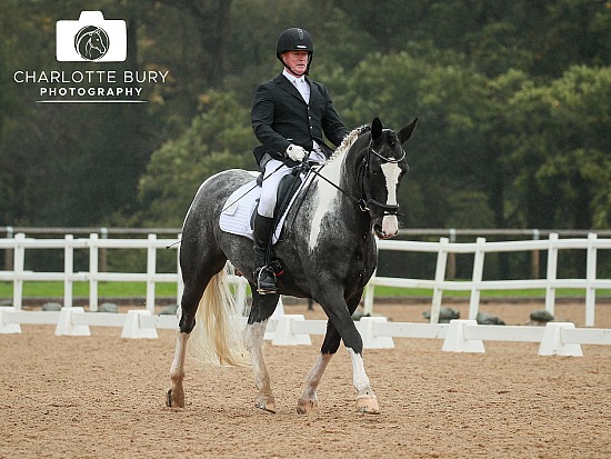 20.10.2024-21.10.2024 Wellington British Dressage